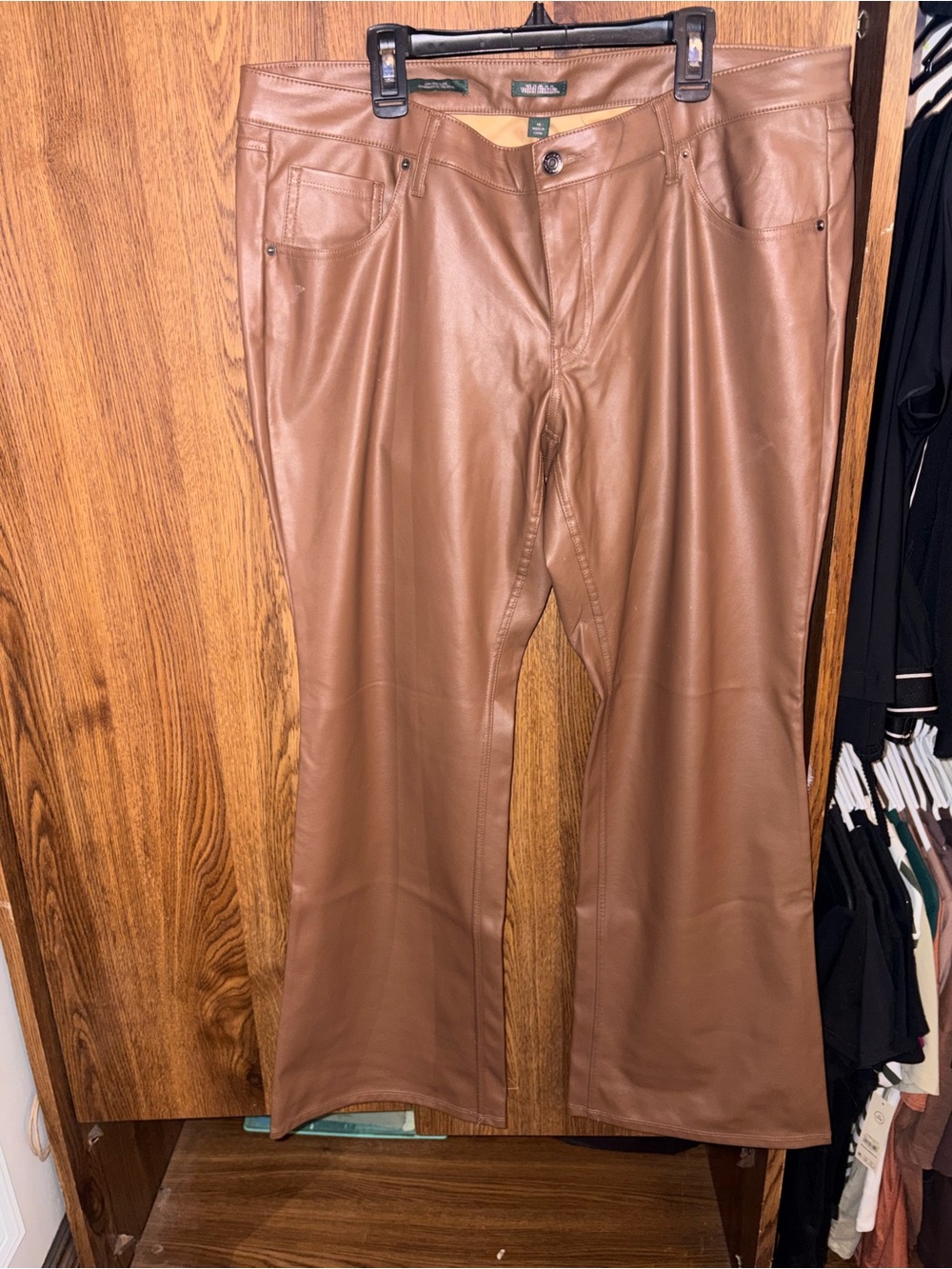 wild fable Brown Faux Leather Men's Pants